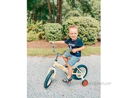 JOYSTAR Vintage 12 & 14 & 16 Inch Kids Bike with Basket & Training Wheels for 2-7 Years Old Girls & Boys Green Ivory & Pink