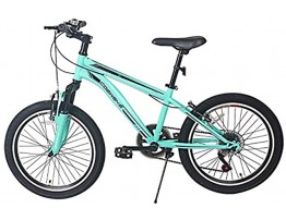 LPP Kids Bike 20 Inch Single Speed or 6 Speed Mountain Bike Iron Frame Children Bicycle for Boys Girls 6-10 Years