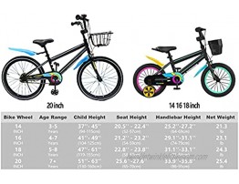PHOENIX Kids Bike for Boys Girls 20 inch with Kickstand and Basket Youth Bicycle for Ages 8-12