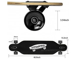 41 Inch Longboard Skateboard,Freeride Complete Cruiser Skateboard-8-Ply Canadian Maple,Drop-Through and Downhill