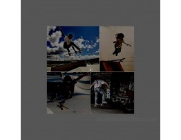 ANDRIMAX Skateboards-Complete Skateboards for Beginners Kids Boys Girls Adults Youth-Standard Skateboards 31’’x8’’ with 7 Lays Maple Deck Pro Skateboards Longboard Skate Boards