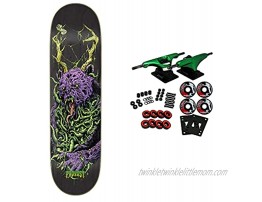 Creature Skateboard Complete Colin Provost Beer 8.51 x 31.88