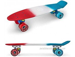 FISH SKATEBOARDS Skateboards Complete 22 Inch Mini Cruiser Retro Skateboard for Kids Boys Girls Youths Beginners Assorted Styles