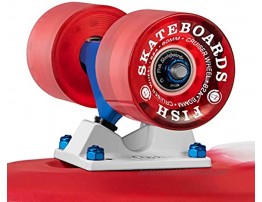 FISH SKATEBOARDS Skateboards Complete 22 Inch Mini Cruiser Retro Skateboard for Kids Boys Girls Youths Beginners Assorted Styles