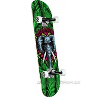 Powell Peralta Skateboard Complete Mike V Elephant Green 8.0 x 31.45