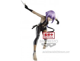 Banpresto Fate Grand Order The Movie Divine Realm of The Round Table: Camelot Servant Figure ~Hassan of The Serenity~ Multiple Colors BP17420
