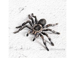 FLORMOON Realistic Animal Figures Spider Action Model Lifelike Insect Toy Figures Educational Learning Toys Birthday Set for Boys Girls Kids Toddlers Giant Whiteknee