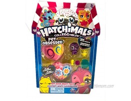 HATCHIMALS COLLEGGTIBLES Pet Obsessed Pet Shop Multi Pack New Hatchy Hearts! STYLES VARY